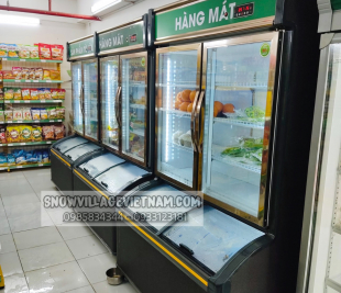 Tủ trên mát dưới đông LCD-1198