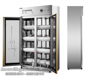 Tủ sấy diệt khuẩn chén đĩa 2 cửa YTP-910