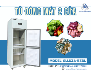 Không Phải Lúc Nào Cũng Cần Hai Tủ – SLDDZ4-538L Có Thể Lo Cả Hai