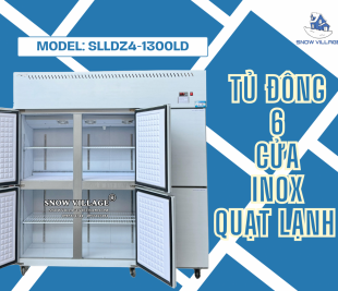 Tủ Đông 6 Cửa Inox Quạt Lạnh - Đa Chế Độ, Lưu Trữ Tối Ưu!