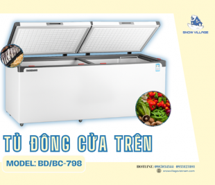 Tủ đông cửa trên BD/BC-798 sản phẩm lý tưởng cho nhu cầu trữ lạnh quy mô lớn