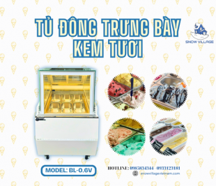 Tủ đông trưng bày kem tươi BL-0.6V thiết kế hiện đại bảo quản kem chuẩn nhiệt độ