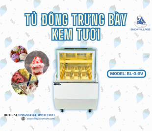 Tối ưu chi phí kinh doanh bằng một chiếc tủ đông trưng bày kem tươi
