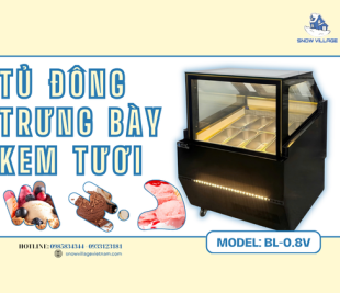 Tủ đông trưng bày kem tươi 8 khay BL-0.8V giải pháp lý tưởng cho mô hình kem tự chọn