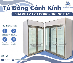 Tủ Đông Cánh Kính - Giải Pháp Trữ Đông Và Trưng Bày 