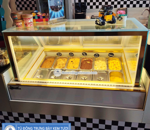 Tủ trưng bày kem 12 khay Snow Village