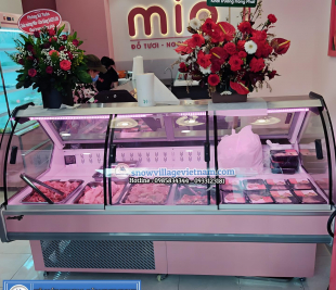 Tủ bảo quản và trưng bày thịt tươi  