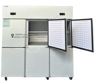 Tủ đông bảo quản 6 cửa mở 