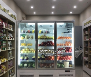 Tủ mát trưng bày hoa quả 3 cửa kính Snow Village