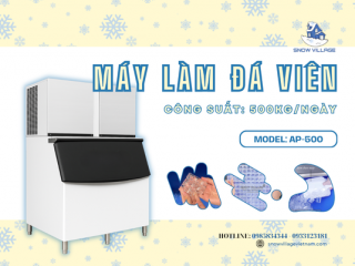 Máy làm đá viên AP-500 giải pháp tối ưu nâng cao hiệu quả kinh doanh nhà hàng