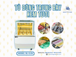 Tủ đông trưng bày kem tươi BL-0.6V thiết kế hiện đại bảo quản kem chuẩn nhiệt độ