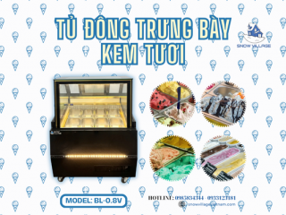 Tủ đông trưng bày kem tươi BL-0.8V – Lựa chọn hoàn hảo cho kem luôn mềm mịn và hấp dẫn