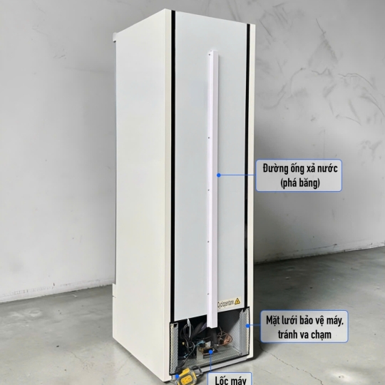 Tủ đông 1 cửa kính (lốc dưới) LD-620FA