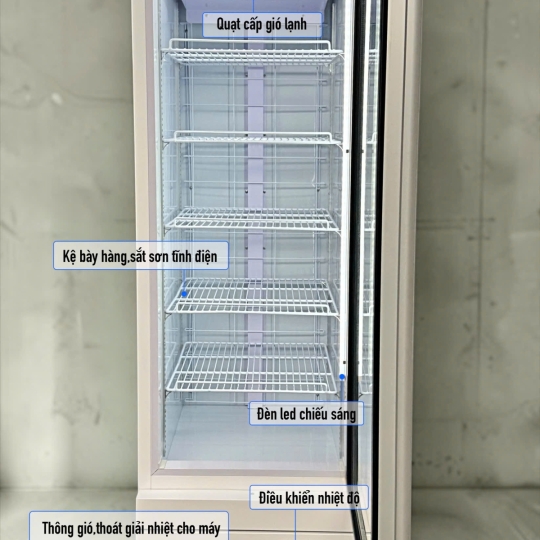 Tủ đông 1 cửa kính (lốc dưới) LD-620FA