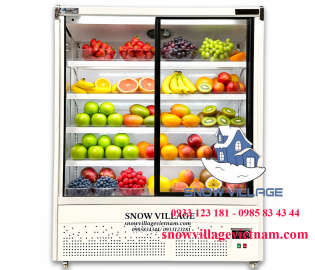 Tủ mát trưng bày trái cây siêu thị ZCY-15 Snow Village