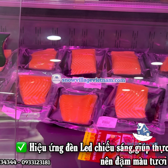 Tủ mát trưng bày-bảo quản thịt tươi 2m SC-2.0 QL